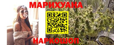 прущие крисы Бийск