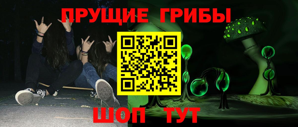 Гуково  Галлюциногенные грибы GOLDEN TEACHER  Вход с VPN 